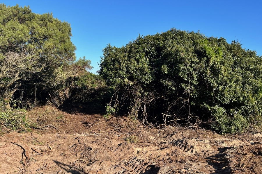 0 Bedroom Property for Sale in Paradise Beach Eastern Cape
